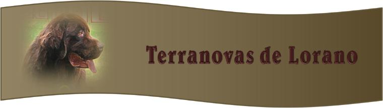 Terranova Chocolate Mexico
